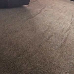 Meet your Posher, Nicky